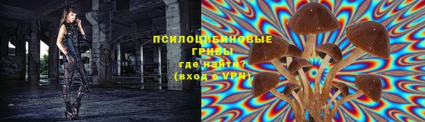 дживик Беломорск